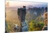 The Bastei in the Background, Elbe Sandstone Mountains, Saxon Switzerland, Germany-Peter Adams-Mounted Photographic Print