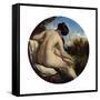 The Bather, 19th Century-William Etty-Framed Stretched Canvas