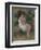 The Bather, C.1900-Pierre-Auguste Renoir-Framed Giclee Print