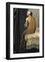 The Bather, called Baigneuse Valpincon or Valpincon Bather, 1808-Jean-Auguste-Dominique Ingres-Framed Giclee Print