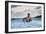 The Bather-Winslow Homer-Framed Giclee Print