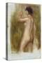 The Bather-Pierre-Auguste Renoir-Stretched Canvas