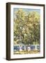 The Bathers, 1905-Childe Hassam-Framed Giclee Print