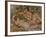 The Bathers, c.1918-Pierre-Auguste Renoir-Framed Giclee Print