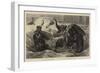 The Bathing Season at The Zoo, Pachyderms at Play-null-Framed Giclee Print