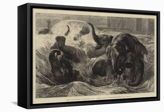 The Bathing Season at The Zoo, Pachyderms at Play-null-Framed Stretched Canvas