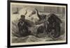 The Bathing Season at The Zoo, Pachyderms at Play-null-Framed Giclee Print