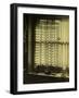 The Bathroom Window-null-Framed Photographic Print