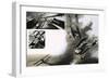 The Battle Between British SE5s and Werner Voss in His Fokker Triplane-null-Framed Giclee Print