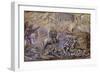 The Battle of Flodden Field, 1882-Edward Burne-Jones-Framed Giclee Print