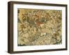 The Battle of Jarnac and the Assassination of Louis I of Bourbon (1530-69) 1570-80-null-Framed Giclee Print