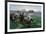 The Battle of Lexington, 19th April 1775, 1910-William Barnes Wollen-Framed Giclee Print