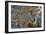 The Battle of Orsha, 1514-null-Framed Giclee Print