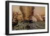 The Battle of Sinop on 30 November 1853, Mid of the 19th C-null-Framed Giclee Print