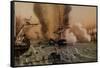 The Battle of Sinop on 30 November 1853, Mid of the 19th C-null-Framed Stretched Canvas