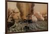 The Battle of Sinop on 30 November 1853, Mid of the 19th C-null-Framed Giclee Print