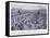 The Battle of Stamford Bridge Ad1066, 1920's-Alfred Pearse-Framed Stretched Canvas