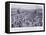 The Battle of Stamford Bridge Ad1066, 1920's-Alfred Pearse-Framed Stretched Canvas