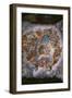 The Battle of the Giants.-Giulio Romano-Framed Giclee Print