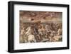 The Battle of the Milvian Bridge in the Hall of Constantine-Godong-Framed Photographic Print