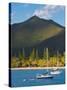 The Bay de Kuto, Ile Des Pins, New Caledonia, Melanesia, South Pacific-Michael Runkel-Stretched Canvas
