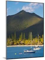 The Bay de Kuto, Ile Des Pins, New Caledonia, Melanesia, South Pacific-Michael Runkel-Mounted Photographic Print