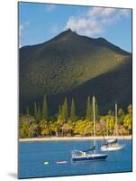 The Bay de Kuto, Ile Des Pins, New Caledonia, Melanesia, South Pacific-Michael Runkel-Mounted Photographic Print