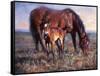 The Bay Filly-Jack Sorenson-Framed Stretched Canvas