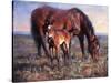 The Bay Filly-Jack Sorenson-Stretched Canvas