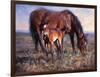 The Bay Filly-Jack Sorenson-Framed Art Print