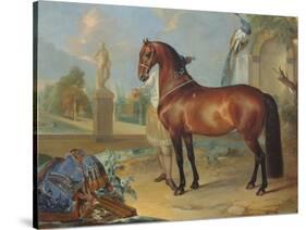 The Bay Horse' Sincero'-Johann Georg Hamilton-Stretched Canvas