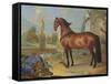 The Bay Horse' Sincero'-Johann Georg Hamilton-Framed Stretched Canvas