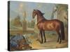 The Bay Horse' Sincero'-Johann Georg Hamilton-Stretched Canvas