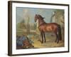 The Bay Horse' Sincero'-Johann Georg Hamilton-Framed Giclee Print