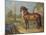 The Bay Horse' Sincero'-Johann Georg Hamilton-Mounted Giclee Print