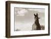 The Bay Mare II-Barry Hart-Framed Giclee Print