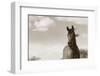 The Bay Mare II-Barry Hart-Framed Giclee Print