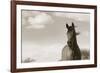 The Bay Mare II-Barry Hart-Framed Giclee Print