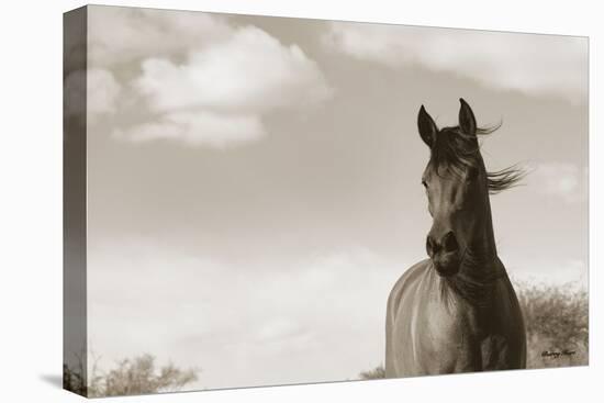 The Bay Mare II-Barry Hart-Stretched Canvas