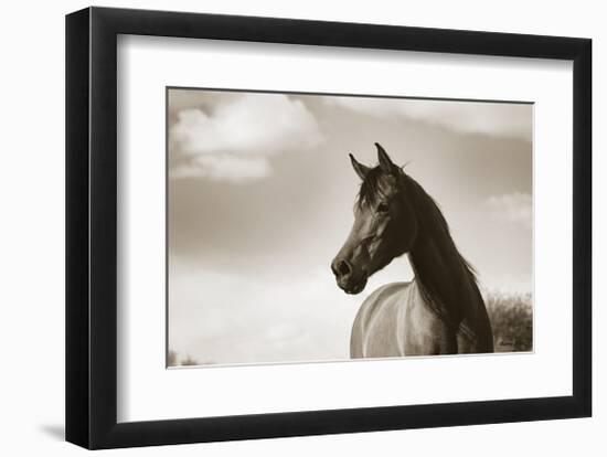 The Bay Mare-Barry Hart-Framed Giclee Print