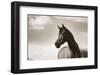 The Bay Mare-Barry Hart-Framed Giclee Print