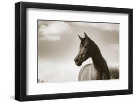 The Bay Mare-Barry Hart-Framed Giclee Print