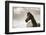 The Bay Mare-Barry Hart-Framed Giclee Print