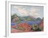 The Bay of Agay, c.1905-Armand Guillaumin-Framed Giclee Print