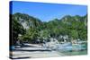 The Bay of El Nido with Outrigger Boats, Bacuit Archipelago, Palawan, Philippines-Michael Runkel-Stretched Canvas