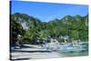 The Bay of El Nido with Outrigger Boats, Bacuit Archipelago, Palawan, Philippines-Michael Runkel-Stretched Canvas