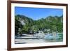 The Bay of El Nido with Outrigger Boats, Bacuit Archipelago, Palawan, Philippines-Michael Runkel-Framed Photographic Print