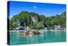 The Bay of El Nido with Outrigger Boats, Bacuit Archipelago, Palawan, Philippines-Michael Runkel-Stretched Canvas