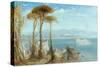 The Bay of Naples, 1876-James Webb-Stretched Canvas