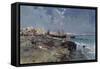 The Bay of Naples-Carlo Brancaccio-Framed Stretched Canvas